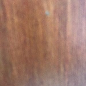 Women’s Dress Boots